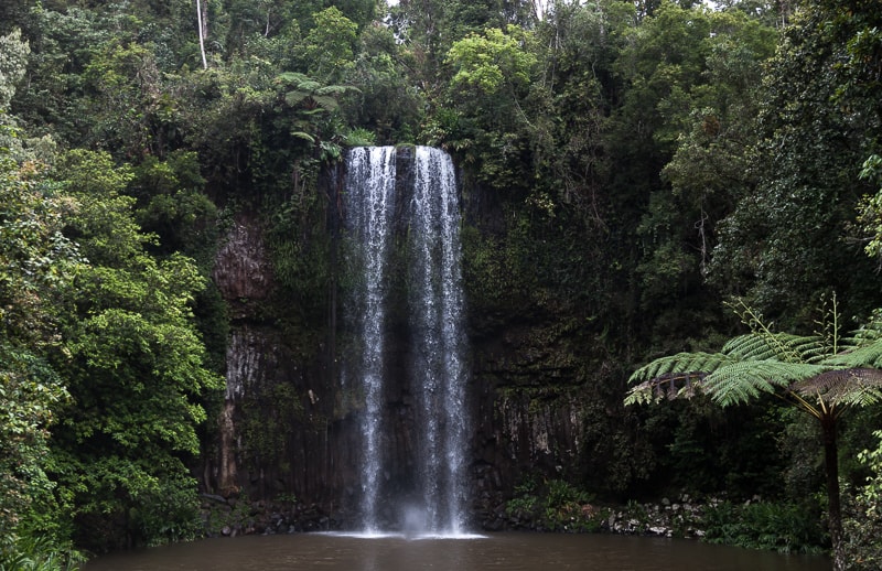 Millaa Millaa Falls