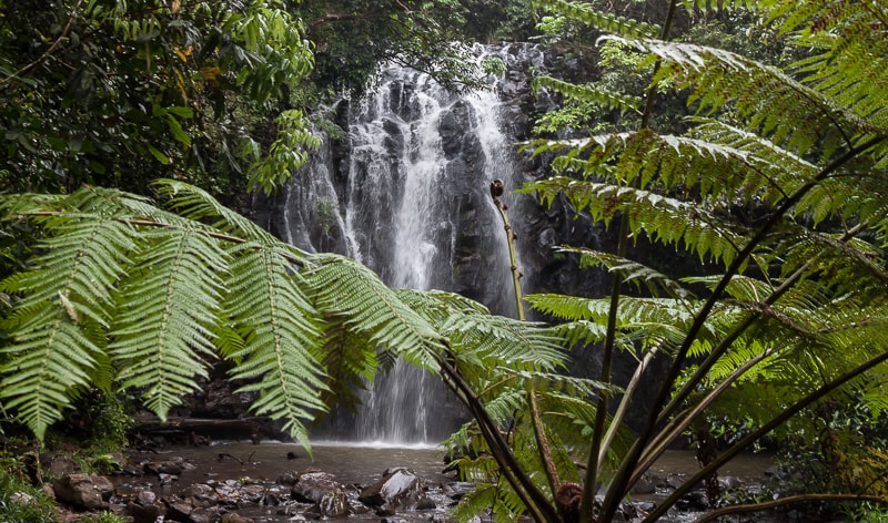 Ellinjaa Falls