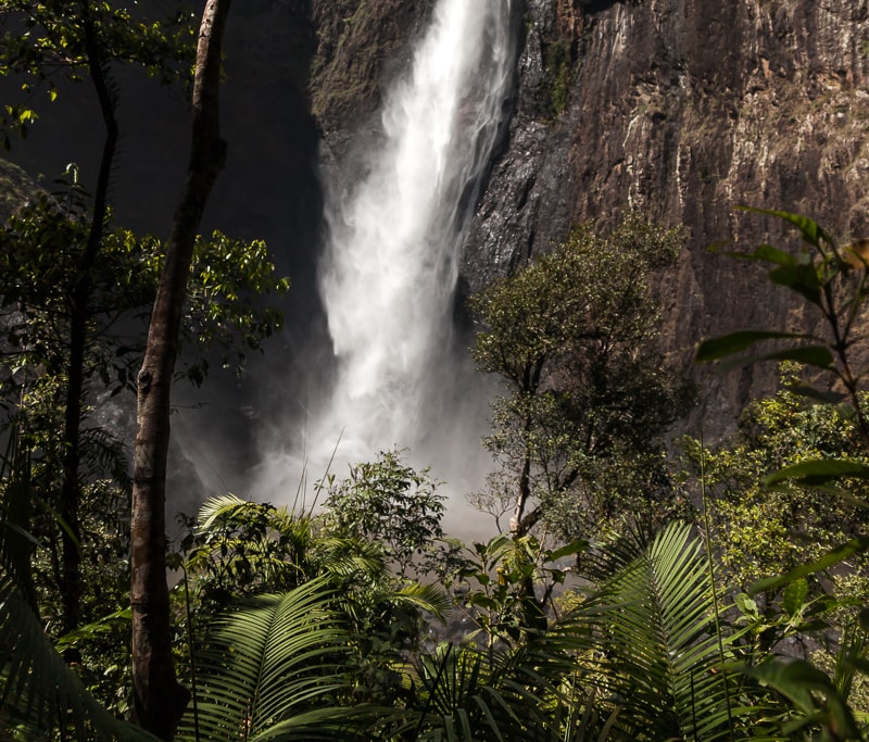 Sicht auf den Wallaman Fall am Ende des Djyinda Walk
