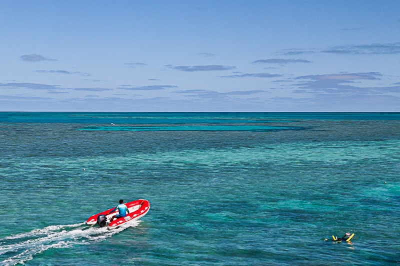 Schnorcheln am Hardy Reef