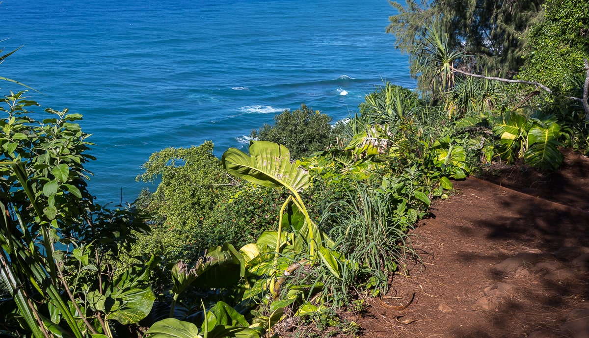 Kalalau Trail mit Blick auf den Pazifik