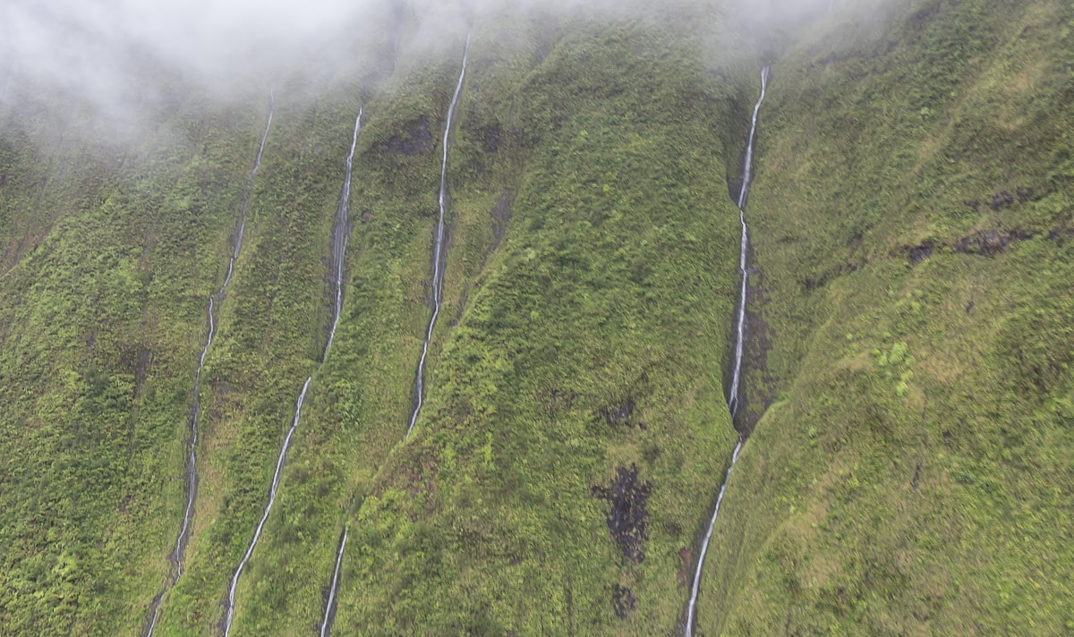 Fast jeden Tag regnet es am Waiʻaleʻale