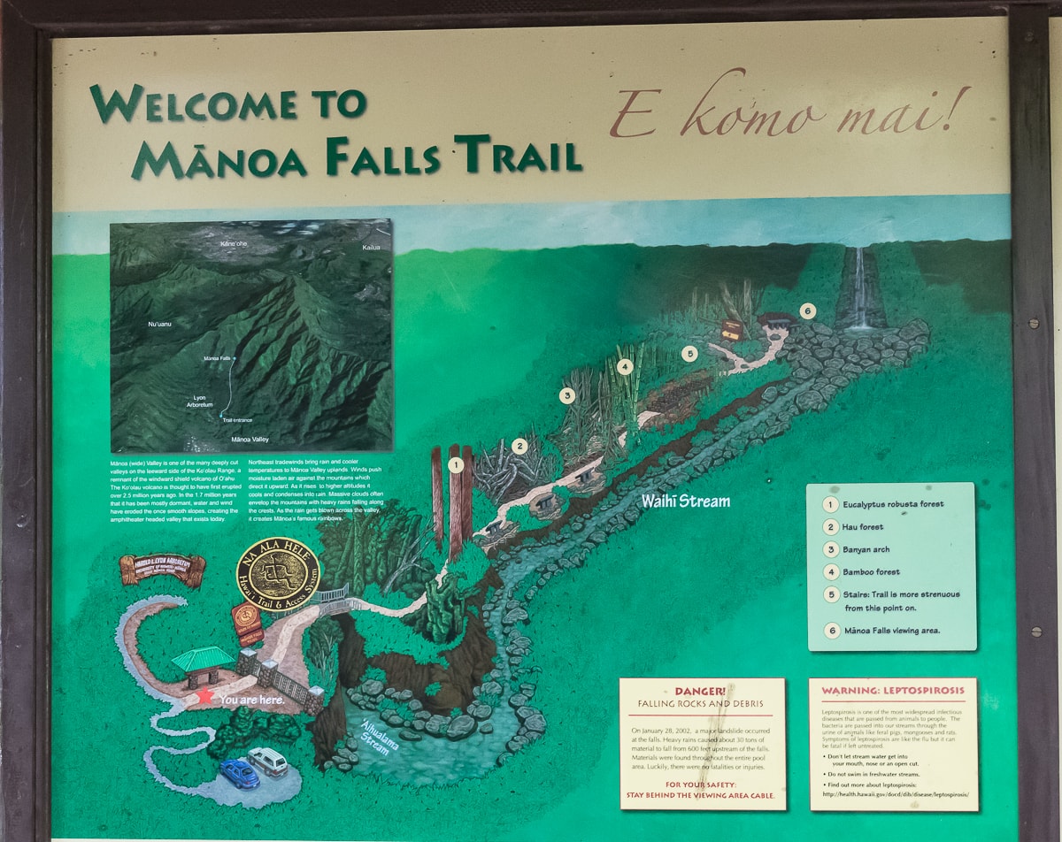 Karte vom Manoa Falls Hike