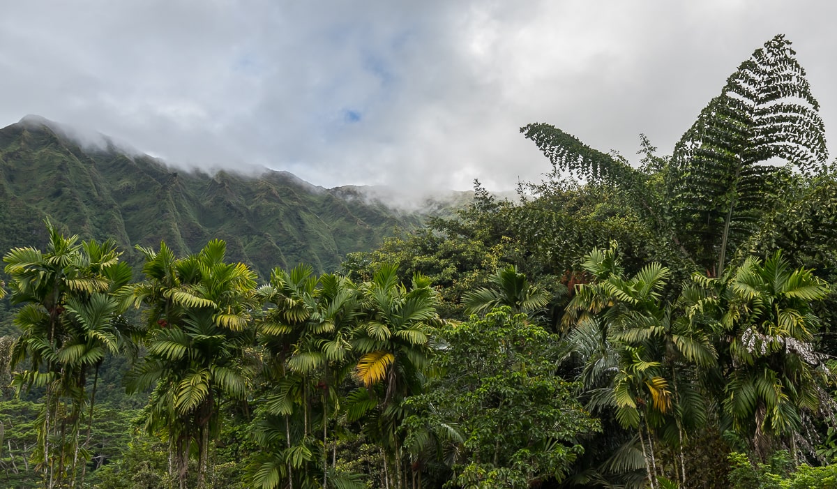 Ho’omaluhia Botanical Garden Oahu