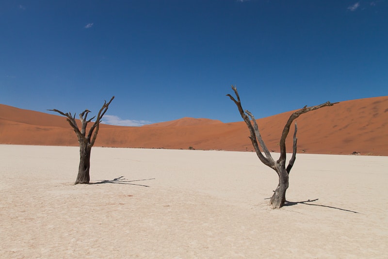 Abgestorbene Bäume im Deadvlei