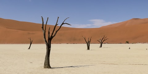 Sossusvlei