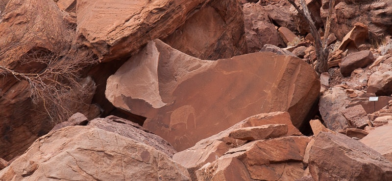 Twyfelfontein | Felszeichnung eines Elefanten