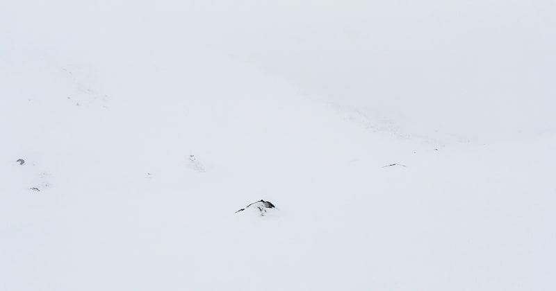 Nebel in den verschneiten Bergen