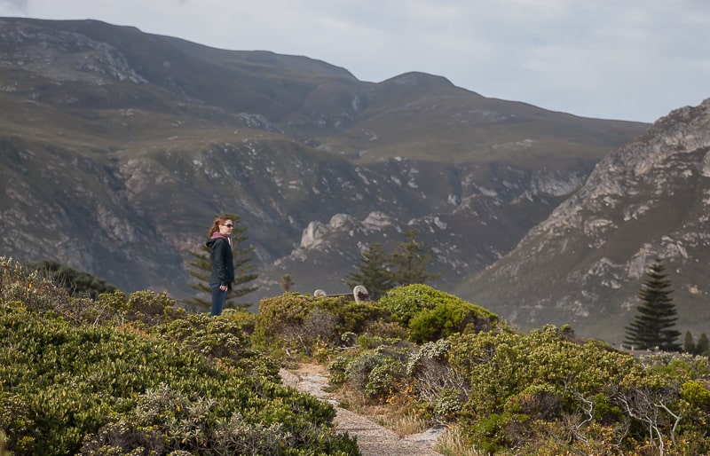 Der schön angelegte Cliff Path in Hermanus