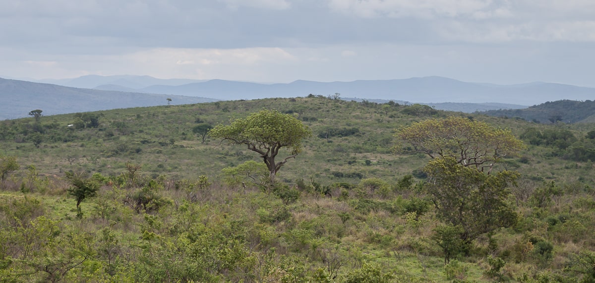 Landschaft des iMfolozi Game Reserve