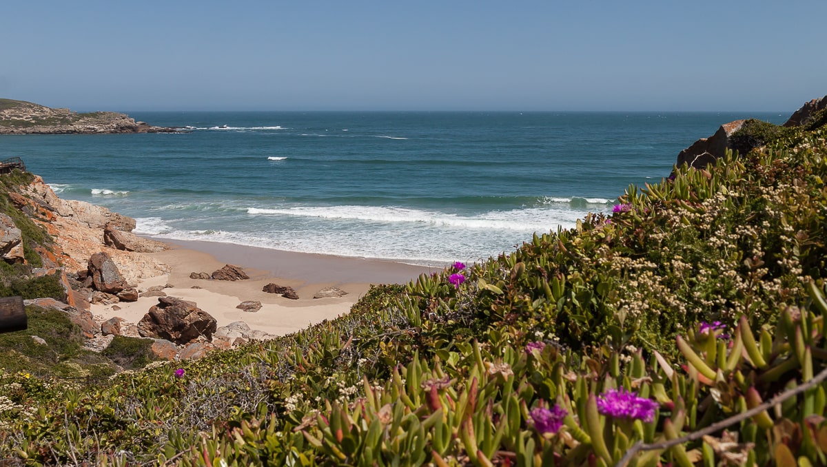 Frühlingshafte Stimmung im Robberg Nature Reserve