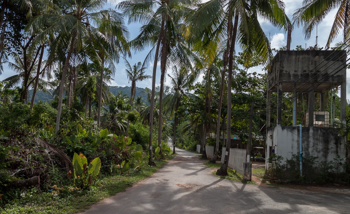 Tropische Vegetation auf Ko Lanta