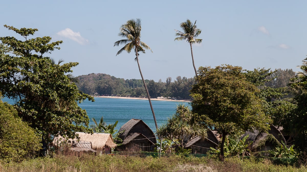 Ausblick durch die Palmen auf den Long Beach auf Ko Lanta