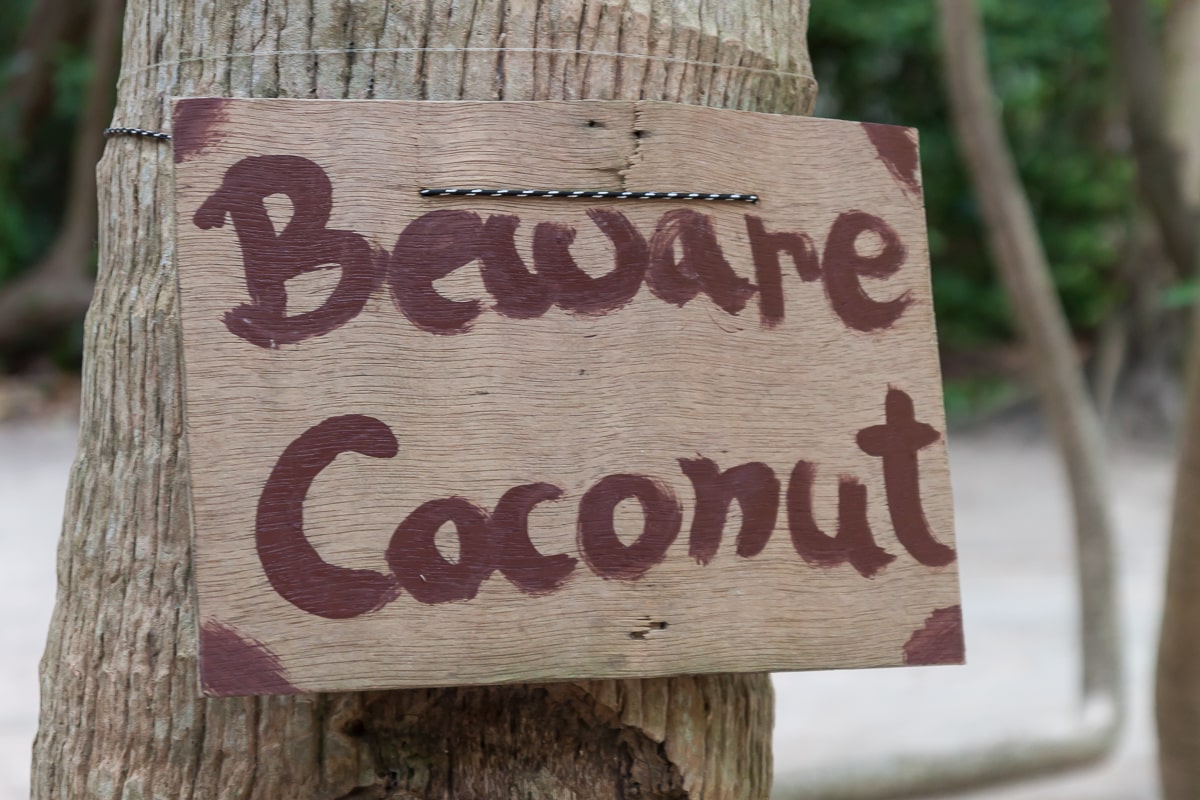 Schild das vor Kokosnüssen warnt
